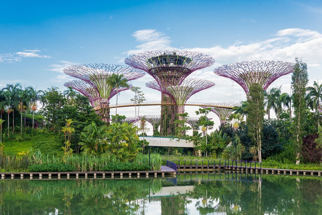 Gardens by the Bay